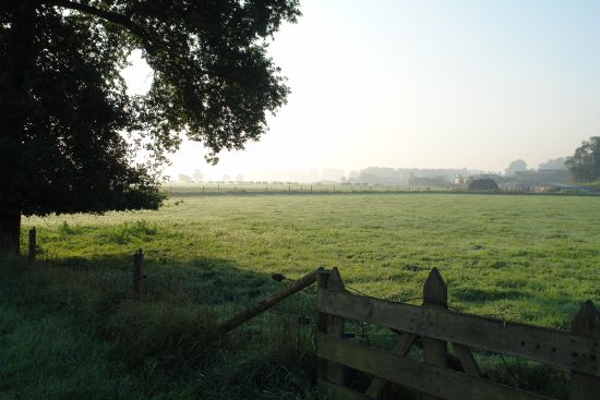 Omgeving
